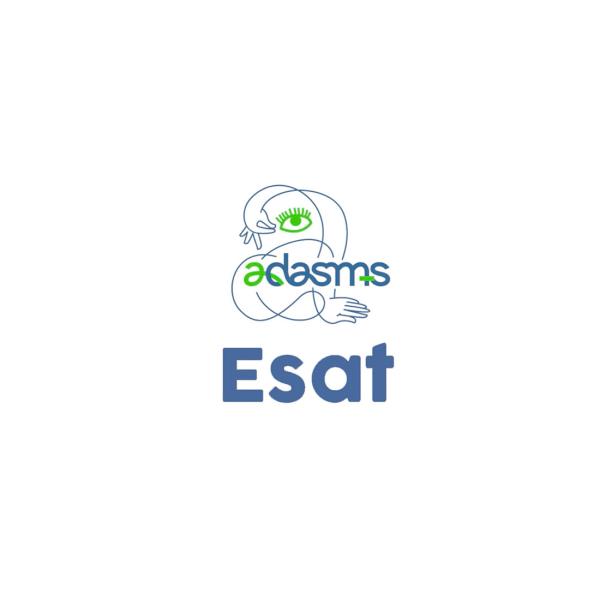 Présentation de l'ESAT - ADASMS