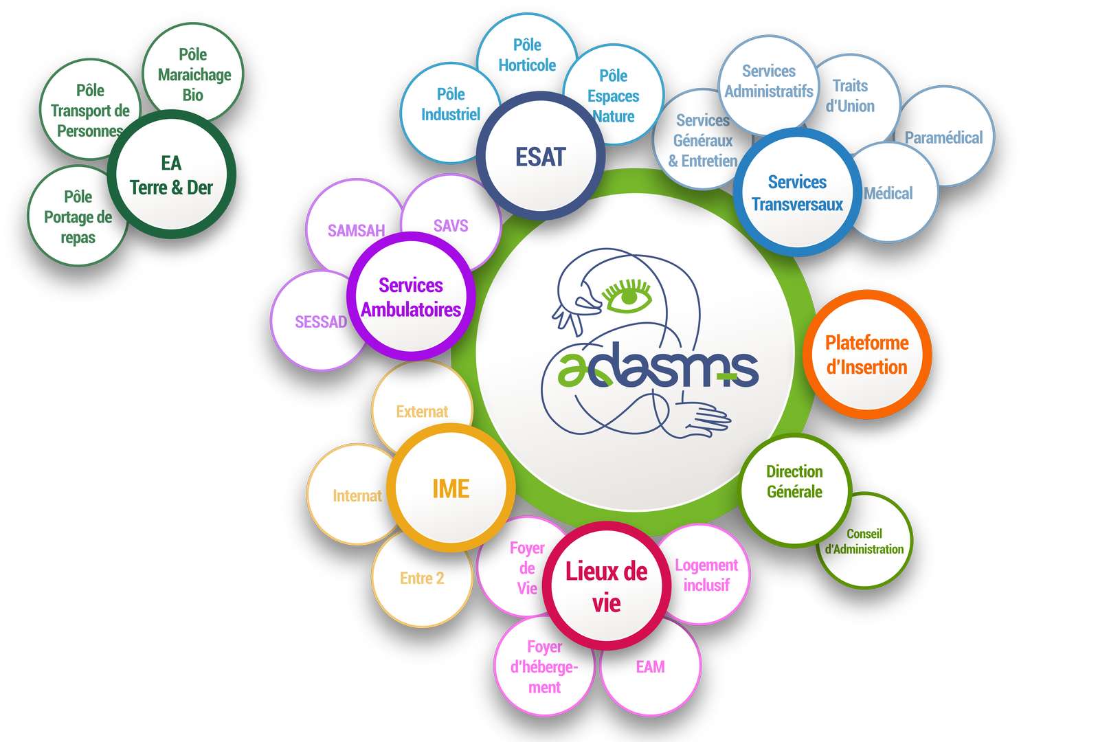 Organigramme de l'organisation de l'Adasms