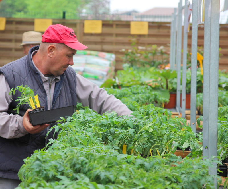 Travaillleur de l'esat en horticulture