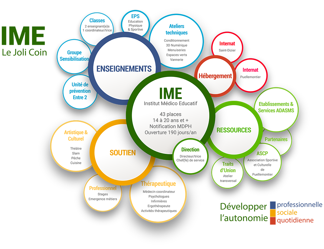 IME Organisation