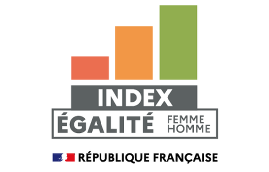 Index égalité femmes hommes